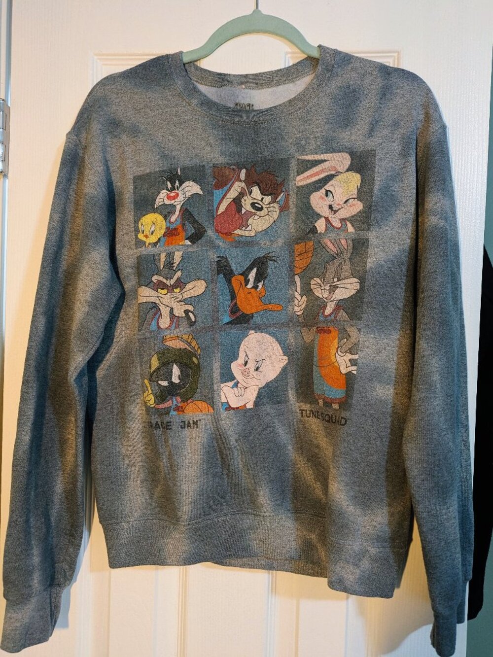 Space Jam Sweatshirt Looney Tunes Characters Graphic Print Unisex